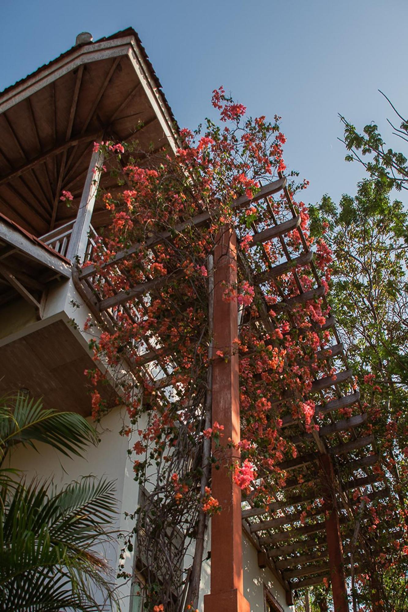 Hotel Bangsring Breeze Banyuwangi  Zewnętrze zdjęcie