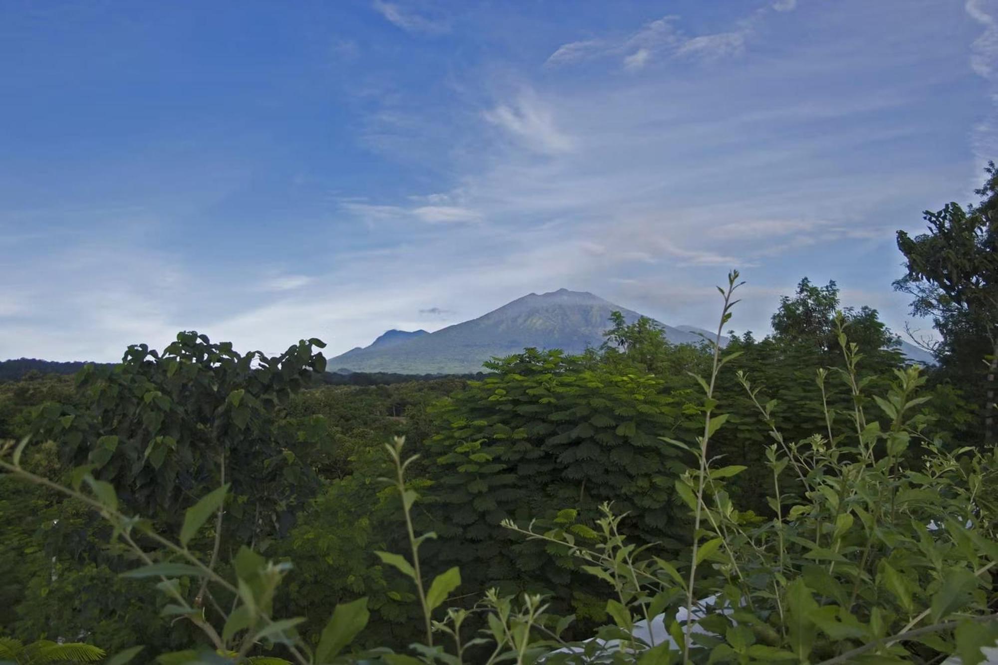 Hotel Bangsring Breeze Banyuwangi  Zewnętrze zdjęcie